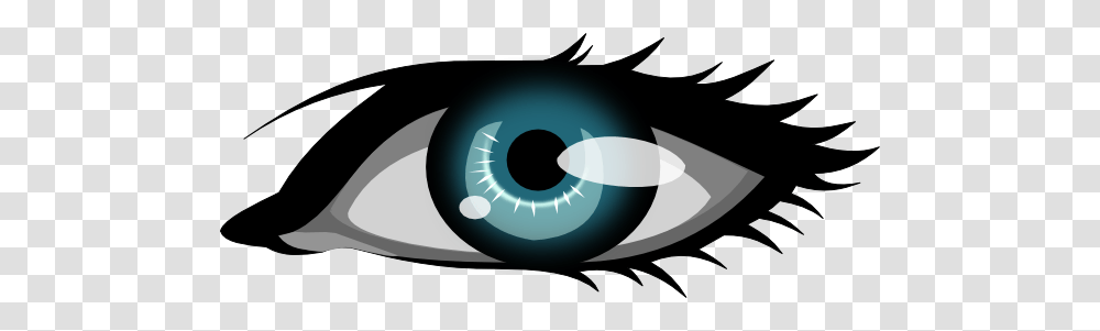 Eye, Person, Animal, Sea Life, Photography Transparent Png