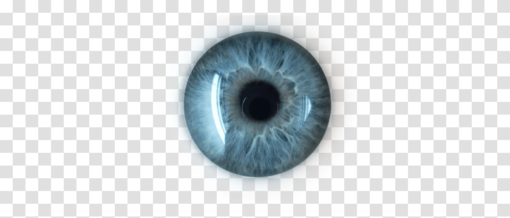 Eye, Person, Contact Lens, Clam, Seashell Transparent Png