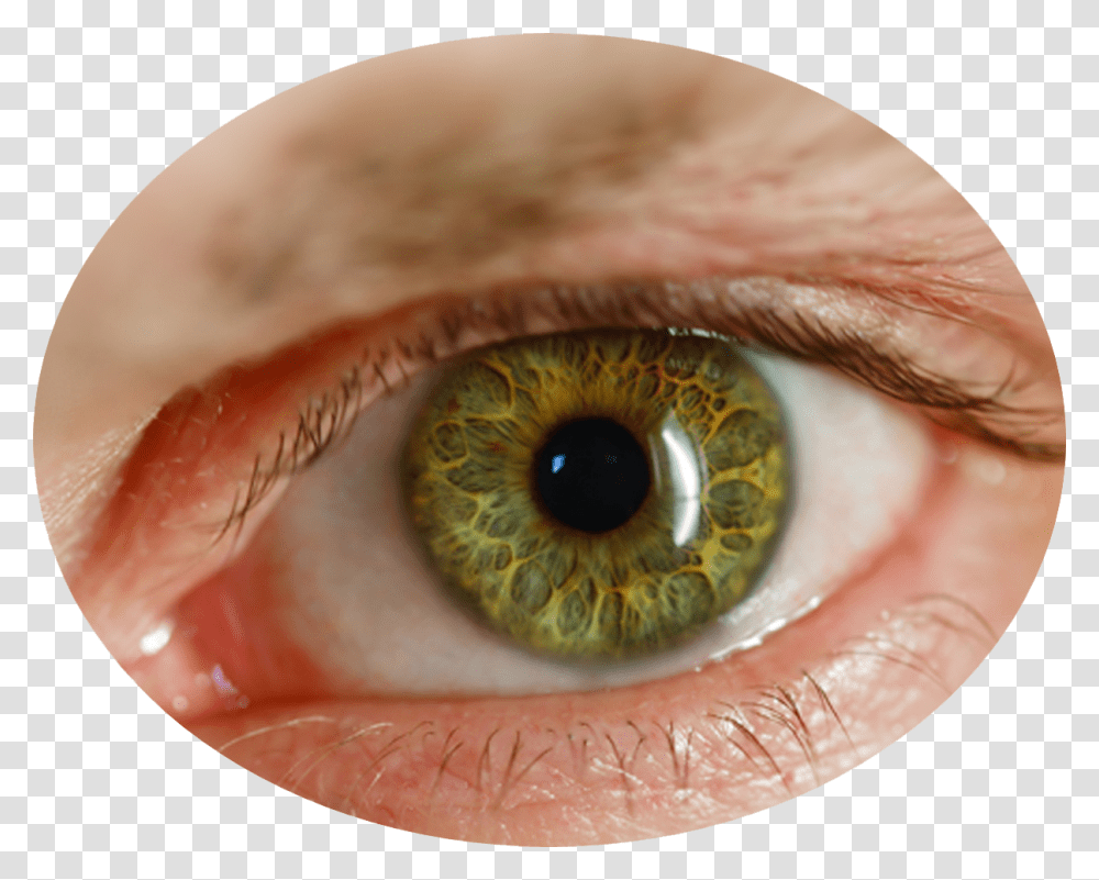 Eye, Person, Contact Lens, Photography, Human Transparent Png