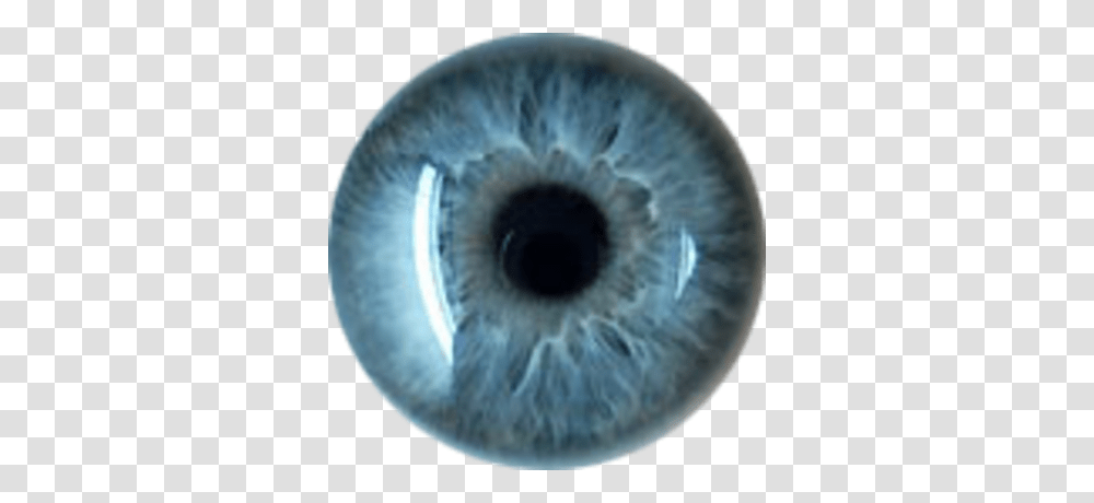 Eye, Person, Contact Lens, Photography, Screw Transparent Png