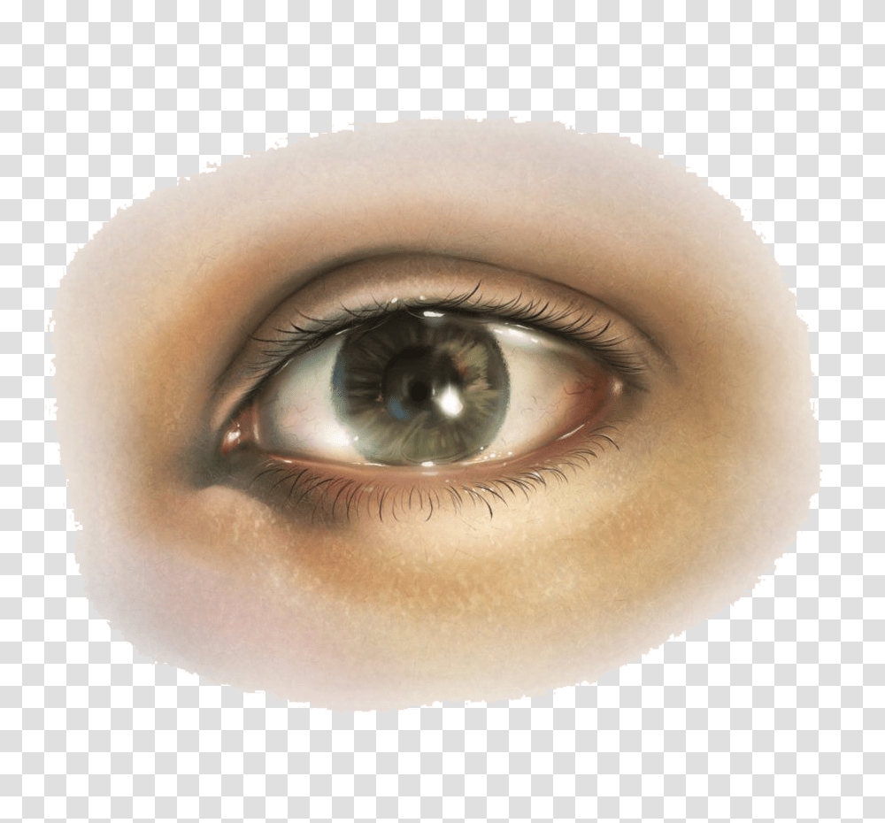 Eye, Person, Contact Lens, Skin, Human Transparent Png