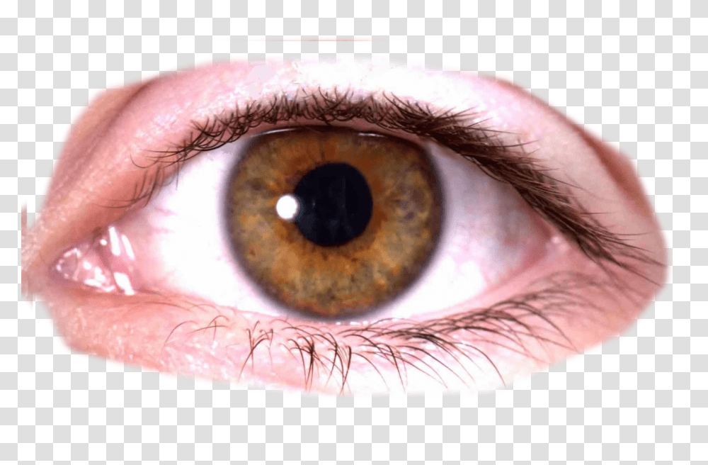 Eye, Person, Contact Lens, Skin, Human Transparent Png