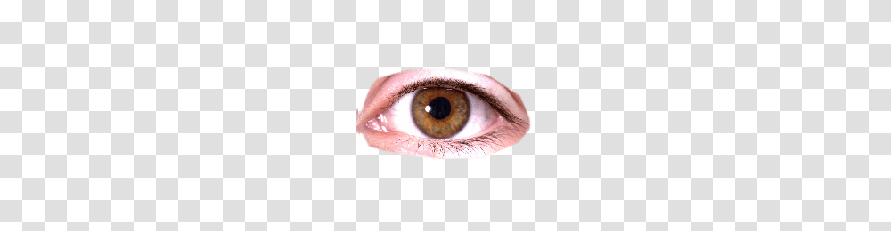 Eye, Person, Contact Lens Transparent Png