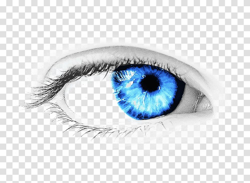 Eye, Person, Drawing, Contact Lens Transparent Png