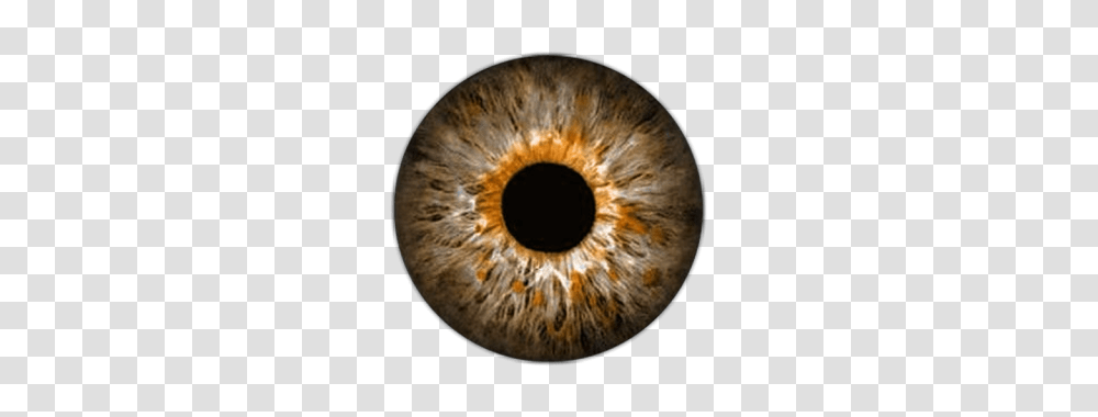 Eye, Person, Photography, Astronomy, Hole Transparent Png