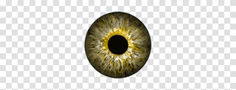 Eye, Person, Photography, Portrait, Face Transparent Png