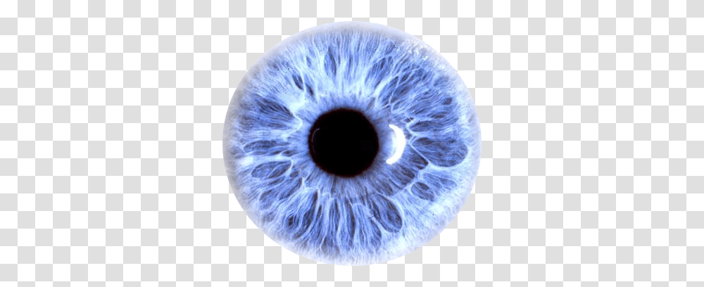 Eye, Person, Photography, Sphere, X-Ray Transparent Png