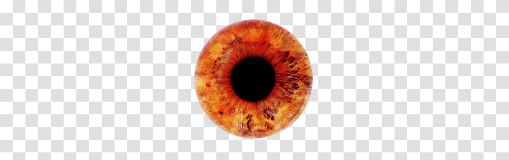 Eye, Person, Photography, Tape, Accessories Transparent Png