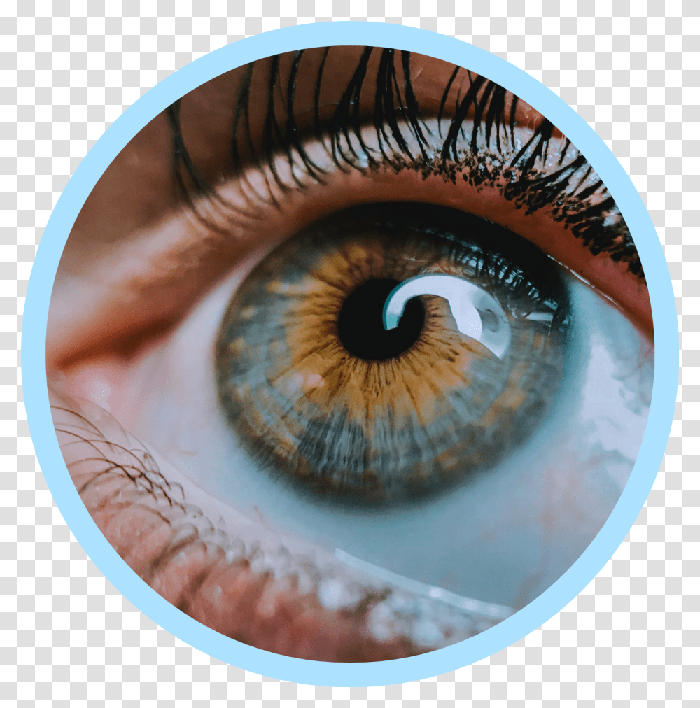 Eye Photography, Contact Lens, Skin Transparent Png