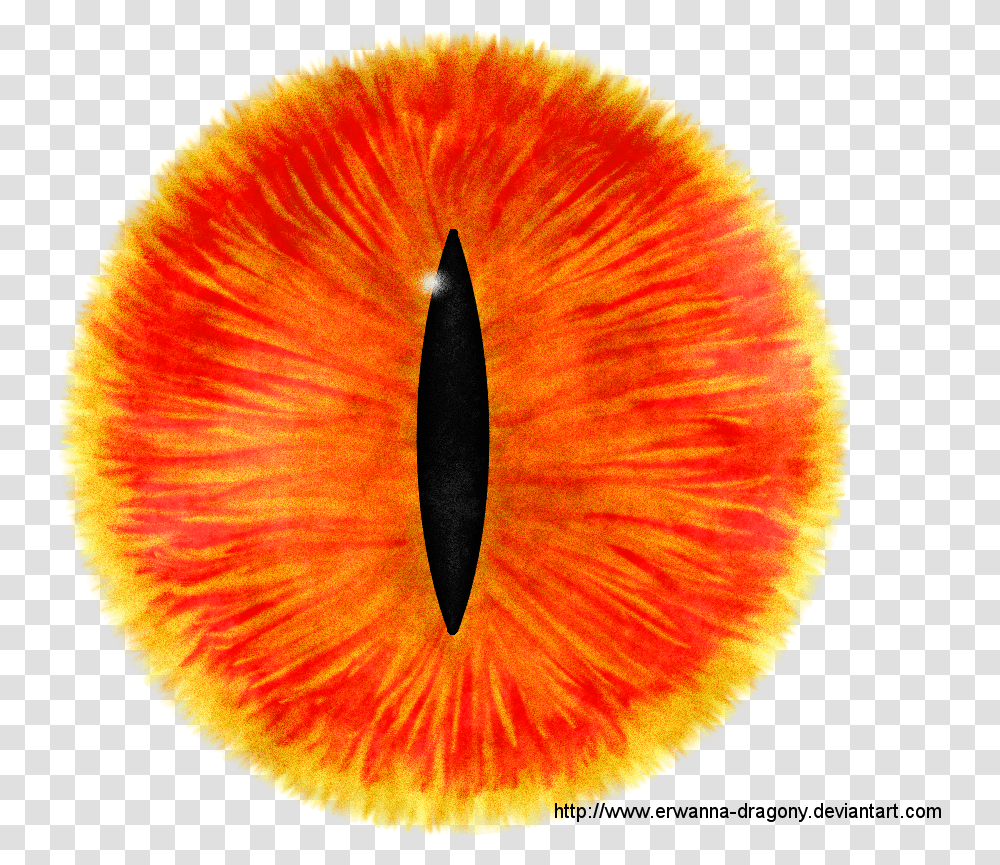 Eye Pictures Icons And Backgrounds Eye Of Sauron Icon, Anther, Flower, Plant, Blossom Transparent Png