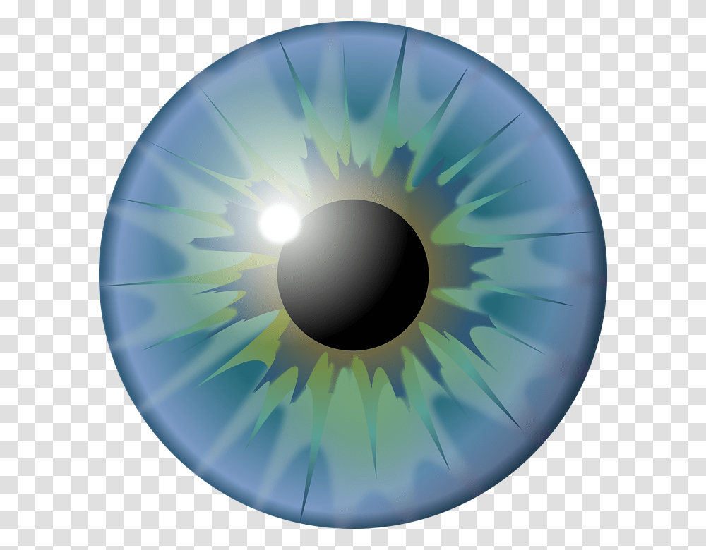 Eye Pupil Iris See Vision Eye Colors Blue, Sphere, Disk Transparent Png