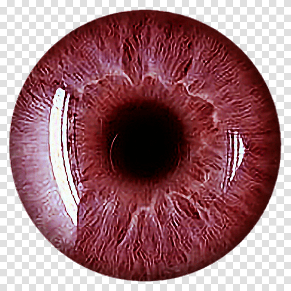 Eye Red Scary Vampire Redeyes Eyecolor Eyeball Scary Eye, Rug, Ornament, Photography Transparent Png