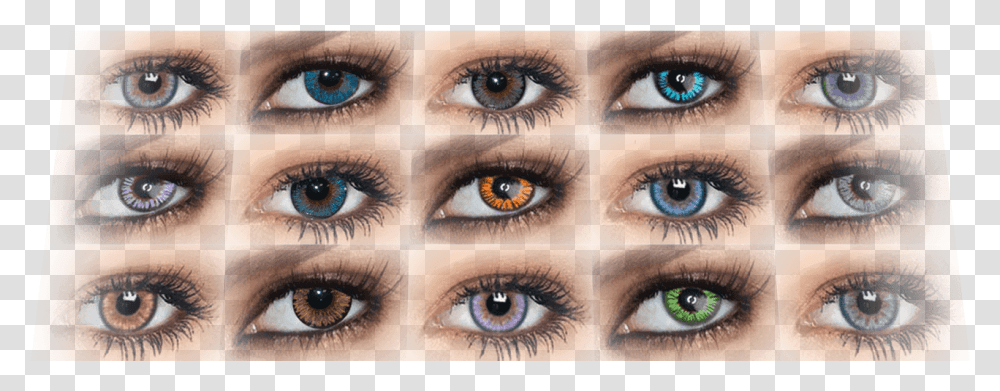 Eye Shadow, Contact Lens, Person, Human Transparent Png