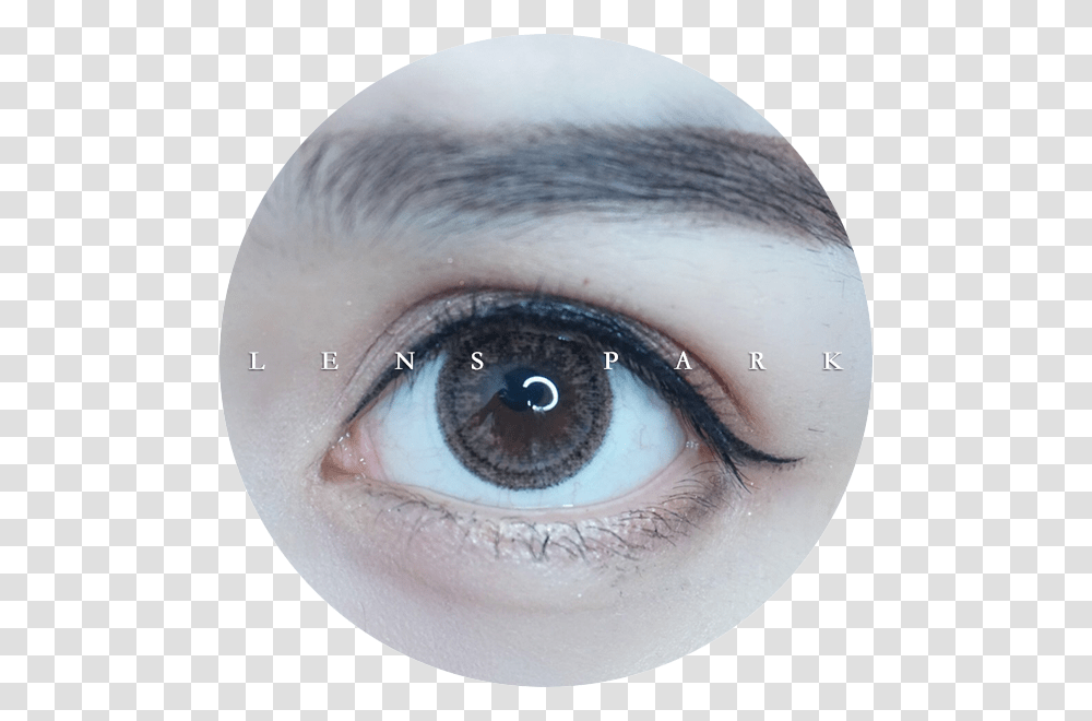 Eye Shadow, Contact Lens, Skin, Person, Human Transparent Png