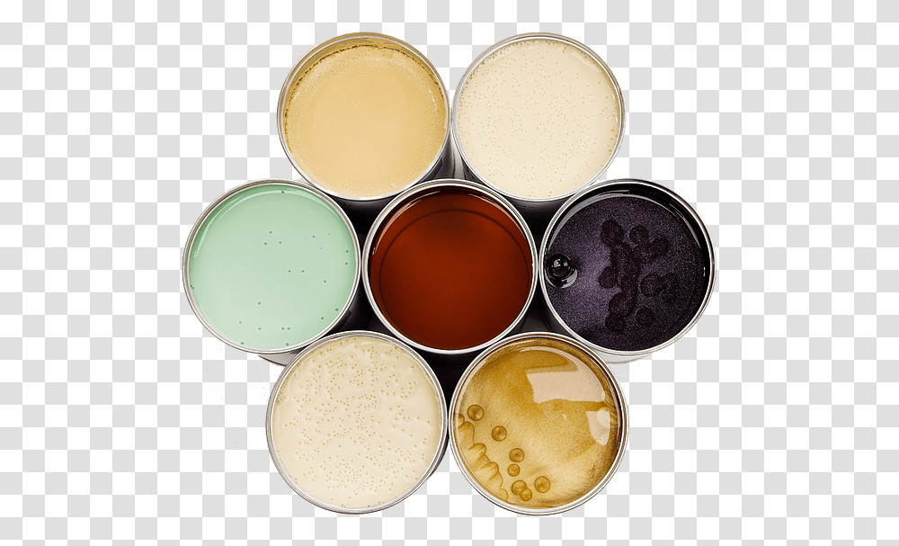 Eye Shadow, Paint Container, Glass, Egg, Food Transparent Png