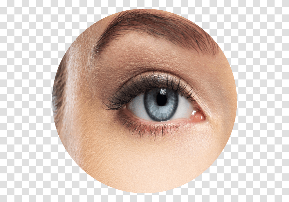 Eye Shadow, Skin, Contact Lens, Person, Human Transparent Png