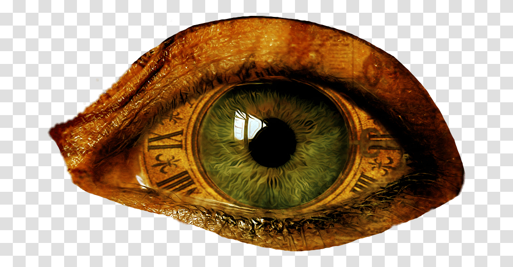 Eye Steampunkfreetoedit Steampunk Face Photoshop, Photography, Snake, Animal, Wristwatch Transparent Png