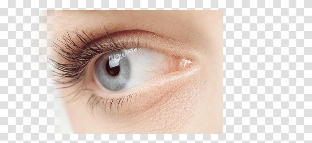 Eye Surgery In New Jersey Treat Chicken Skin Under Eyes, Contact Lens, Person, Human Transparent Png