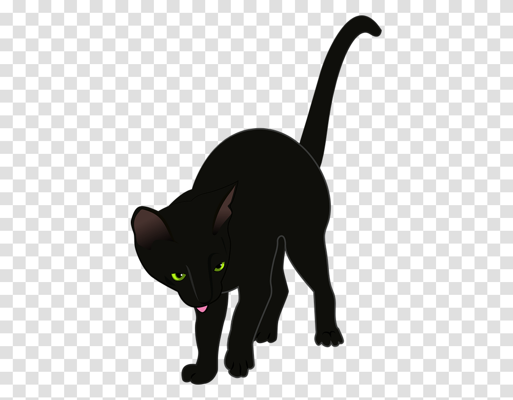 Eye Vector Clipart Katze, Black Cat, Pet, Mammal, Animal Transparent Png