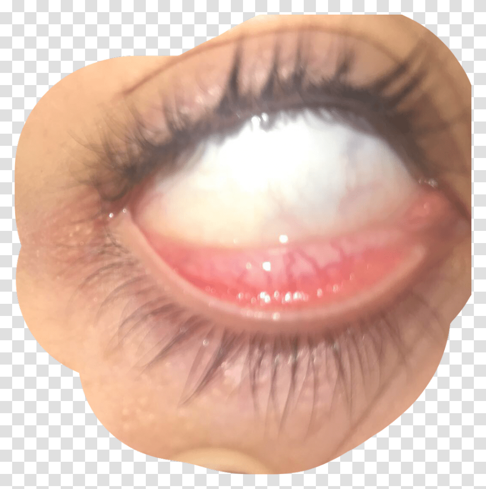 Eye Veins Goth Freetoedit Close Up, Contact Lens, Skin, Person, Human Transparent Png