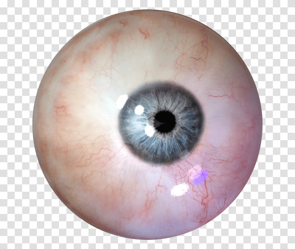 Eyeball, Contact Lens, Sphere, Person, Human Transparent Png