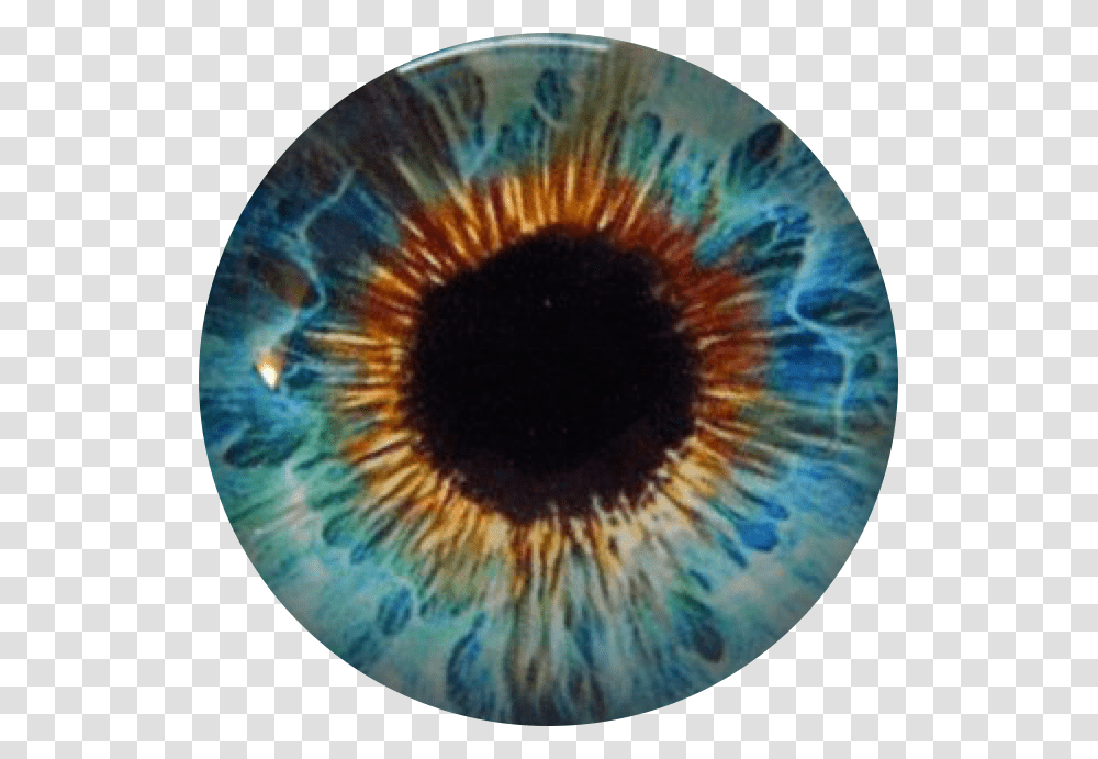 Eyeball Eyeballs Aquaeyes Iamlpinthe312 Freetoedit Circle, Photography, Ornament, Outer Space, Astronomy Transparent Png