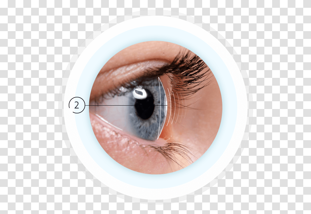 Eyeball From The Side, Contact Lens, Skin Transparent Png