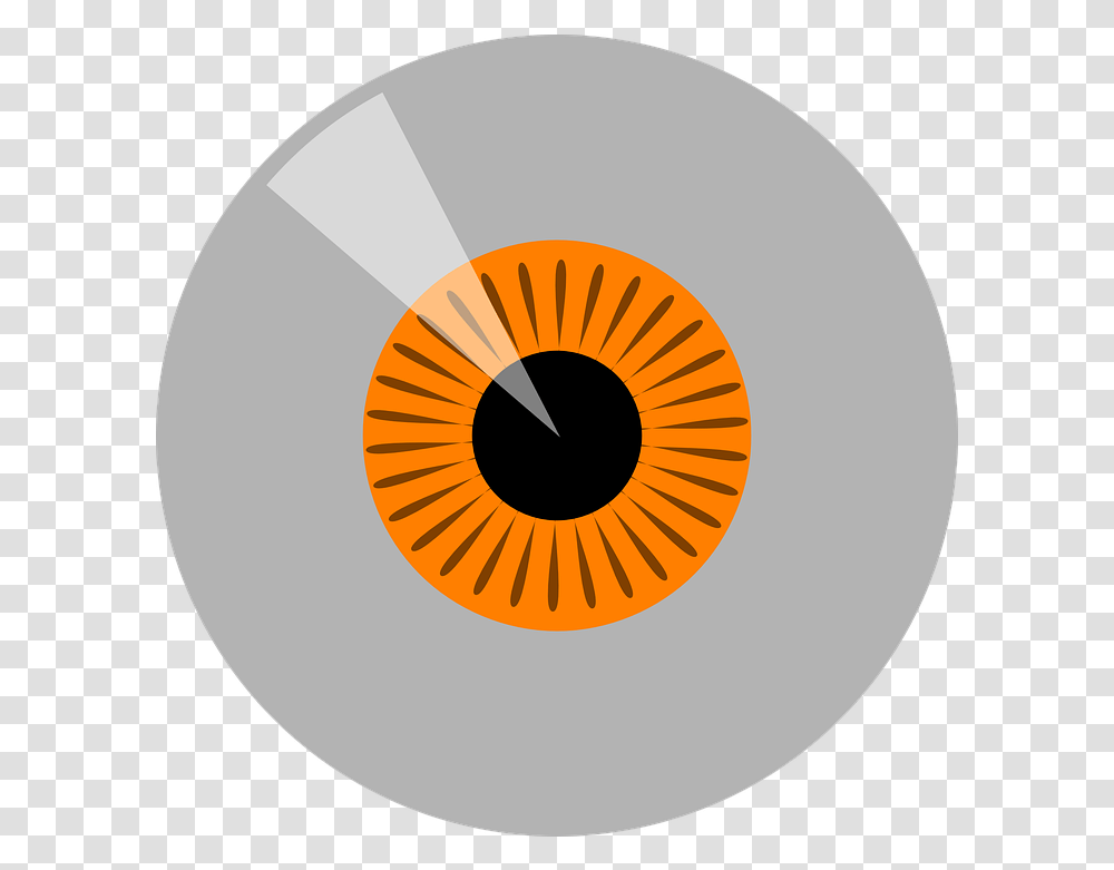 Eyeball Iris Orange Free Vector Graphic On Pixabay Vector Graphics, Plant, Text, Symbol, Balloon Transparent Png