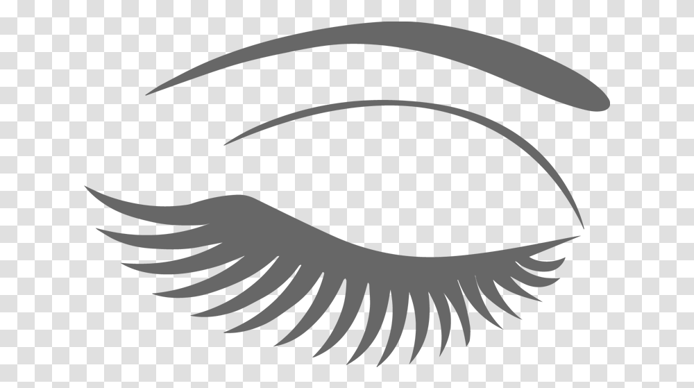 Eyebrow And Lash, Vulture, Bird, Animal, Condor Transparent Png