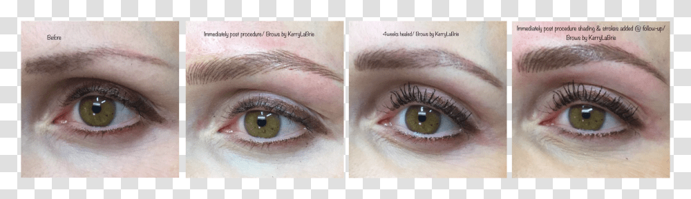 Eyebrow Before Eye Shadow, Face, Person, Human, Skin Transparent Png