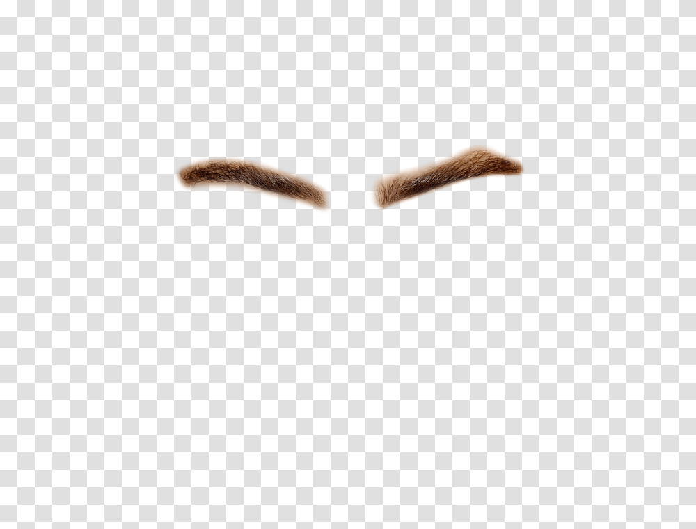 Eyebrows Eyebrows Images, Mouth, Lip, Teeth, Brush Transparent Png