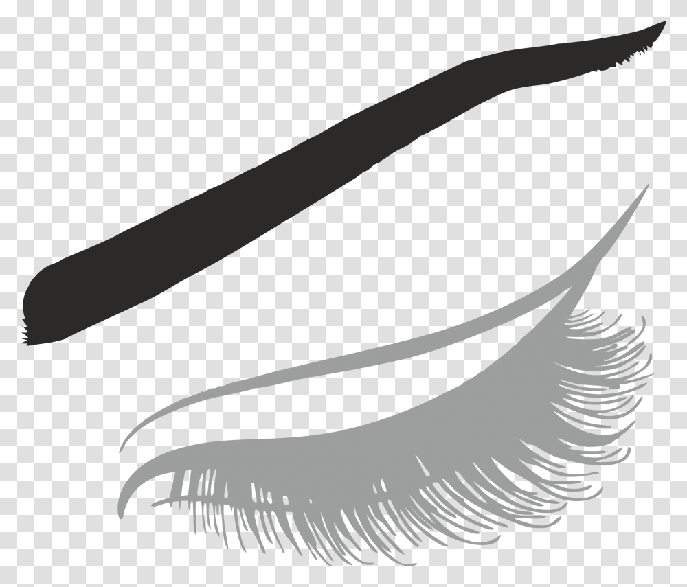 Eyelash Brov, Animal, Bird, Mammal, Invertebrate Transparent Png