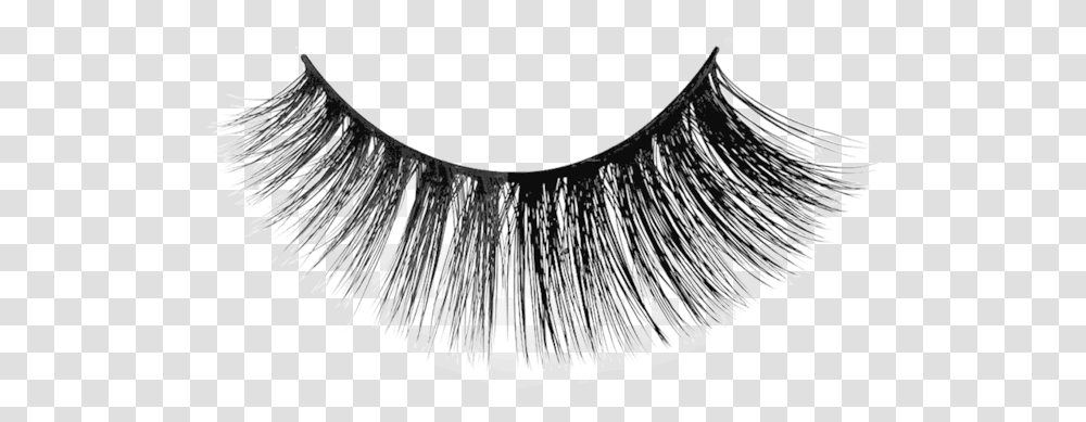 Eyelash, Brush, Tool, Hair Slide Transparent Png