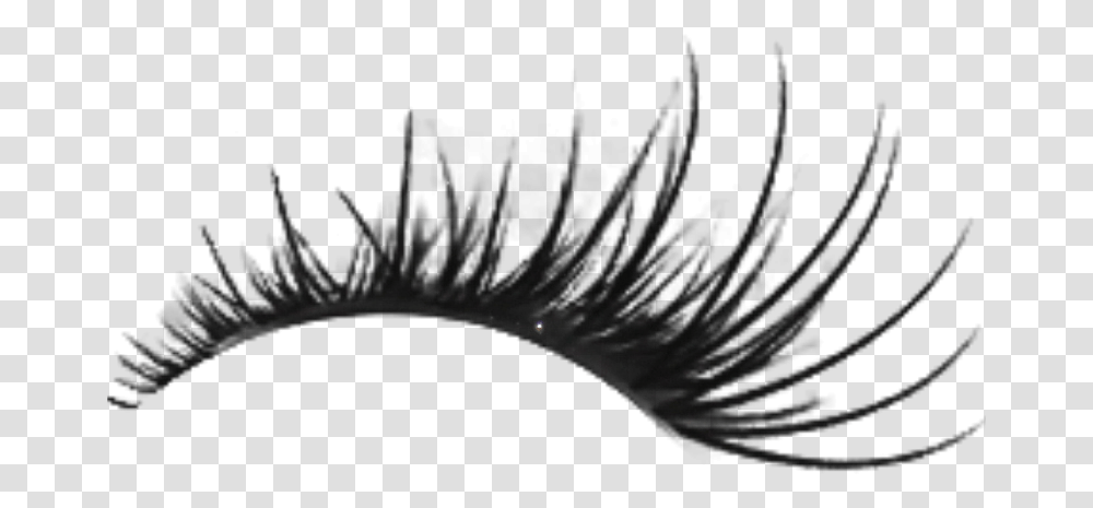 Eyelash Clipart Eyelash, Nature, Outdoors, Night, Outer Space Transparent Png