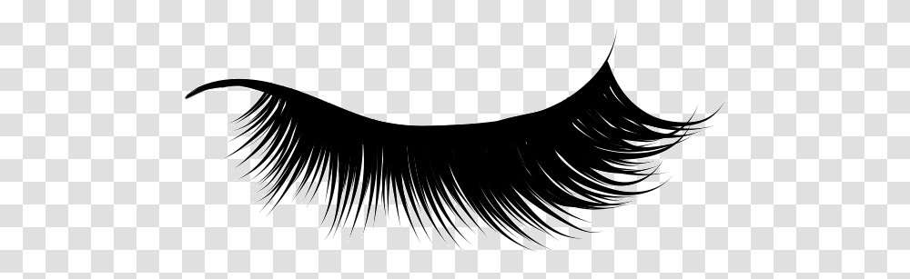 Eyelash Extensions, Brush, Tool, Toothbrush Transparent Png