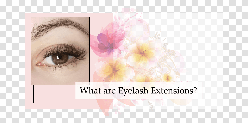 Eyelash Extensions, Face, Person, Flower, Plant Transparent Png