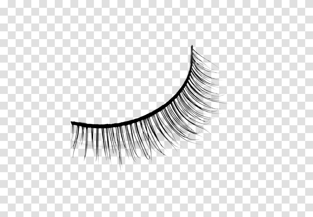 Eyelash Extensions, Gray, World Of Warcraft Transparent Png