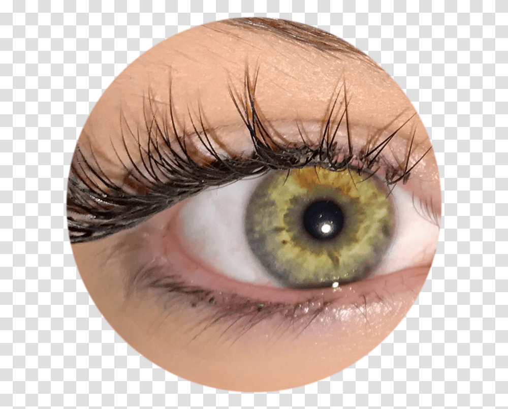Eyelash Extentions Eye Shadow, Contact Lens, Person, Human, Skin Transparent Png