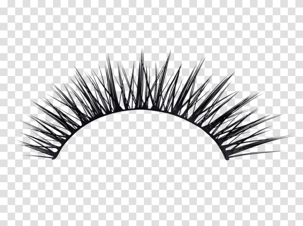 Eyelash, Person, Accessories, Accessory, Brush Transparent Png