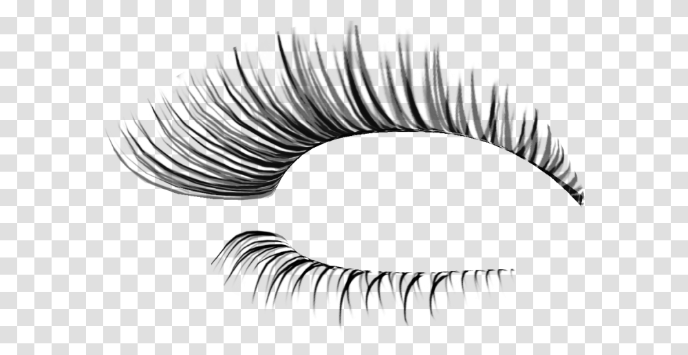 Eyelash, Person, Accessories, Accessory, Jewelry Transparent Png