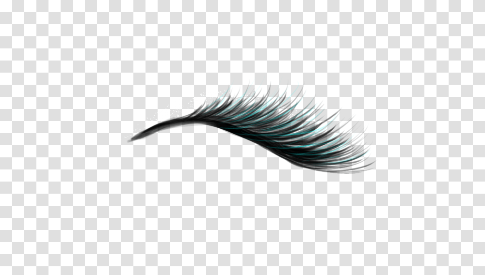 Eyelash, Person, Coil, Spiral, Light Transparent Png