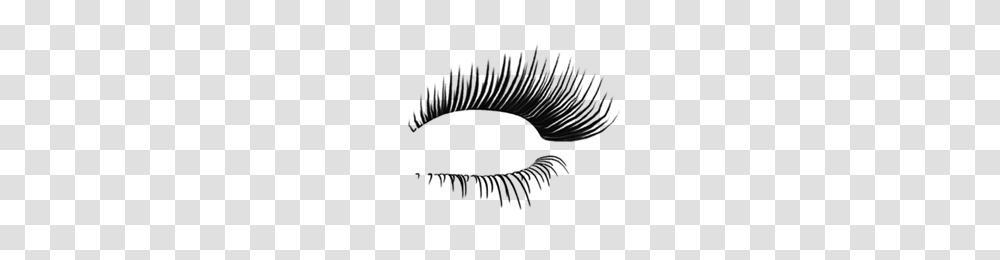 Eyelash, Person, Gray, World Of Warcraft Transparent Png