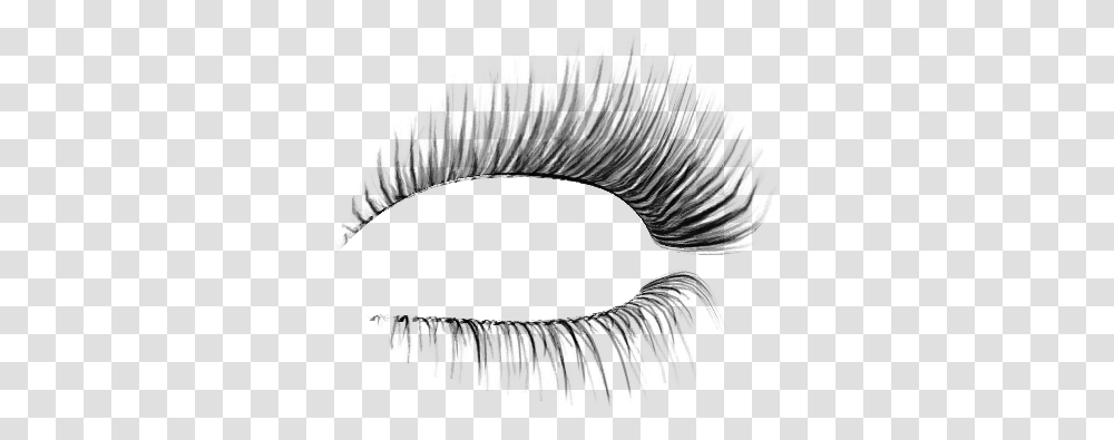 Eyelash, Person, Gray, World Of Warcraft Transparent Png