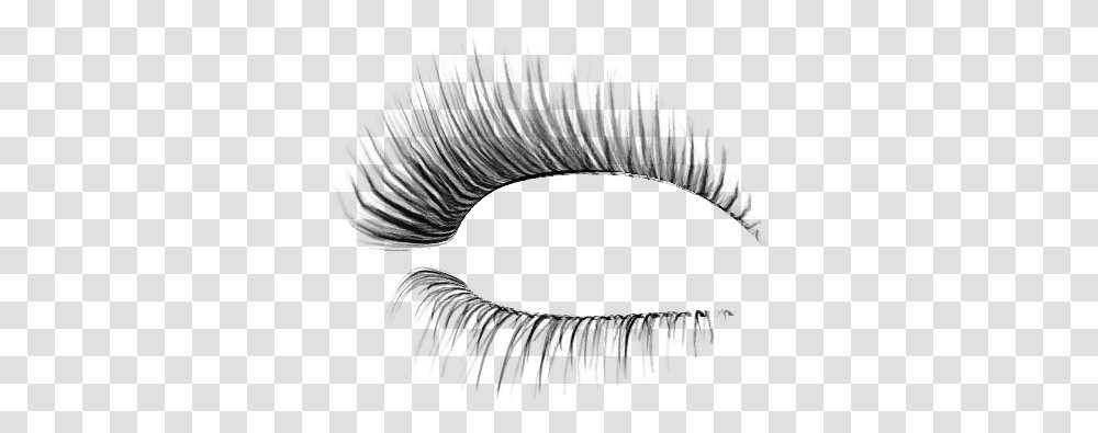 Eyelash, Person, Gray, World Of Warcraft Transparent Png