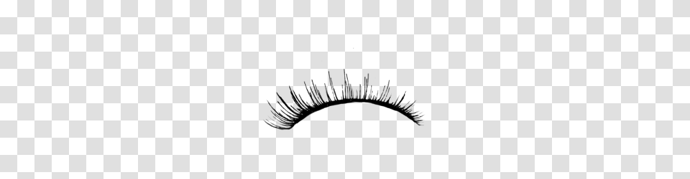 Eyelash, Person, Gray, World Of Warcraft Transparent Png