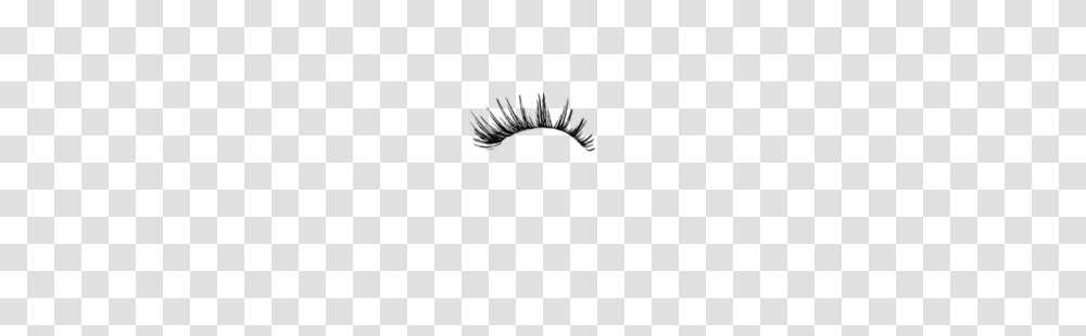 Eyelash, Person, Gray, World Of Warcraft Transparent Png