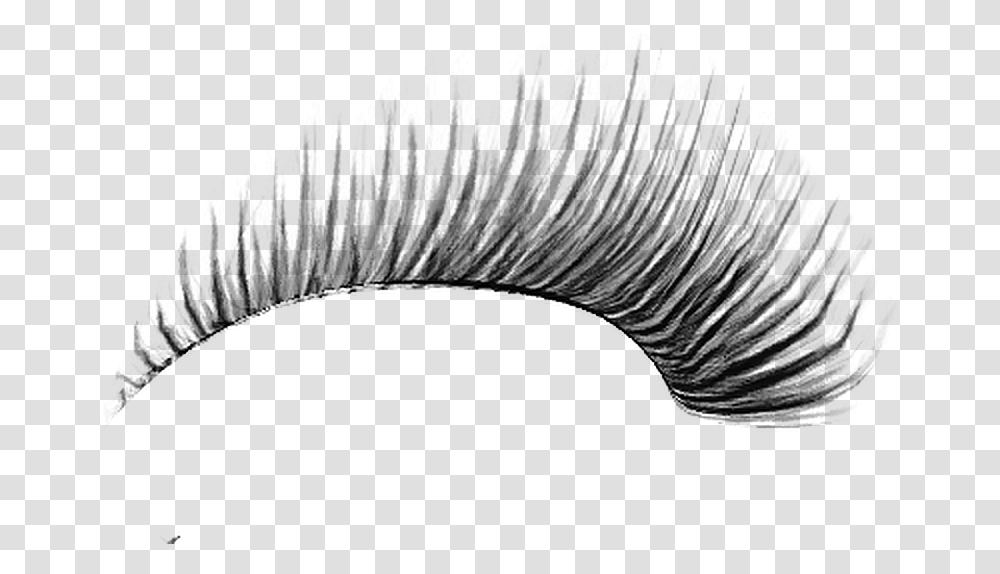 Eyelash, Person, Gray, World Of Warcraft Transparent Png