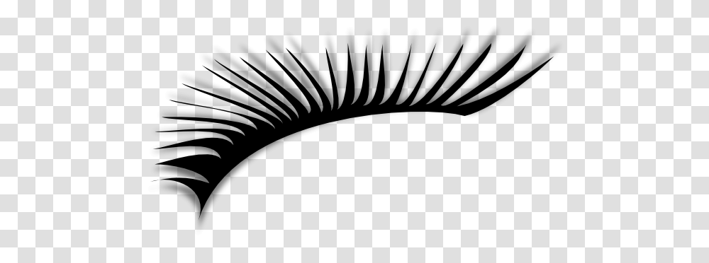 Eyelash, Person, Jewelry, Accessories, Accessory Transparent Png