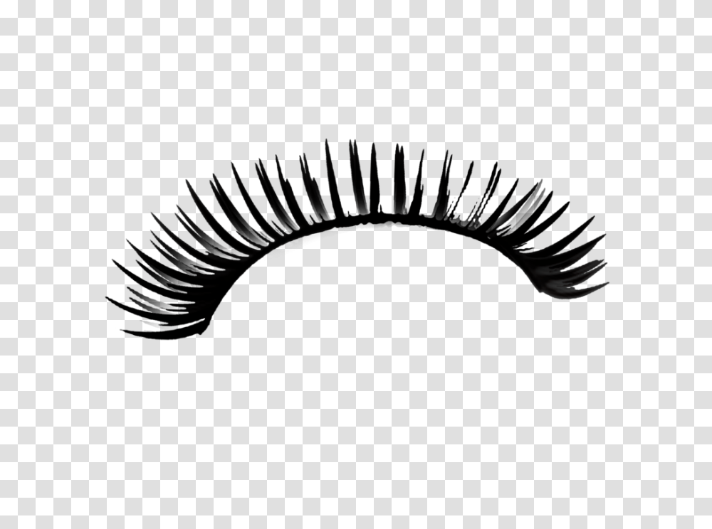 Eyelash, Person, Screen, Electronics, Monitor Transparent Png