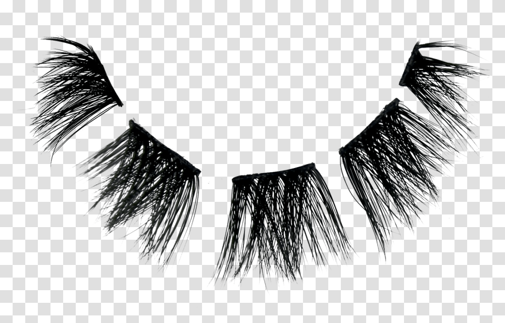 Eyelashes, Accessories, Accessory, Fur, Collar Transparent Png